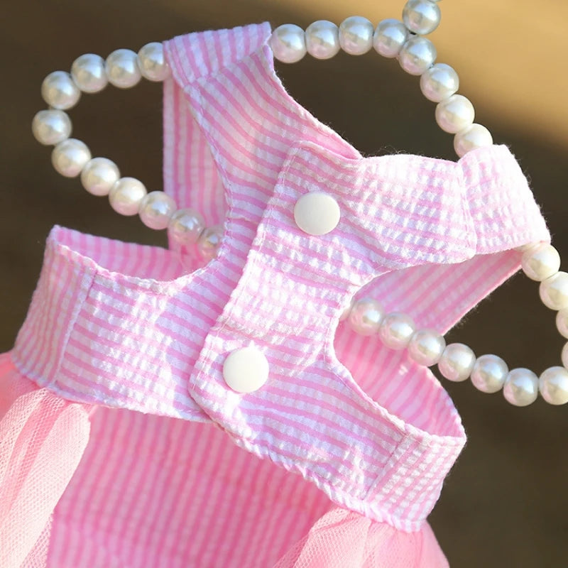 Elegant Princess Pet Summer Dress - Lace Detail