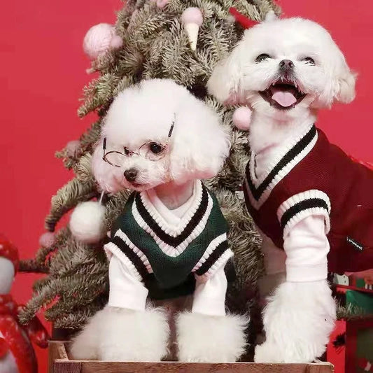 VarsityVibe Knit Dog Sweater
