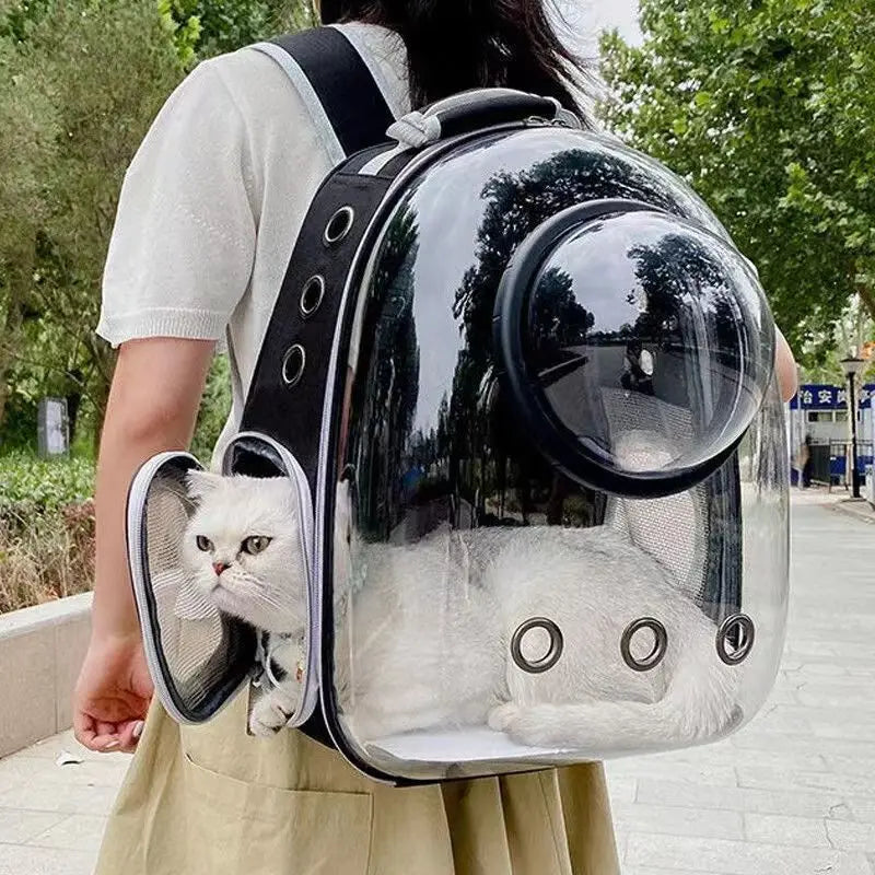 Modern Astronaut-Style Pet Backpack - Transparent View
