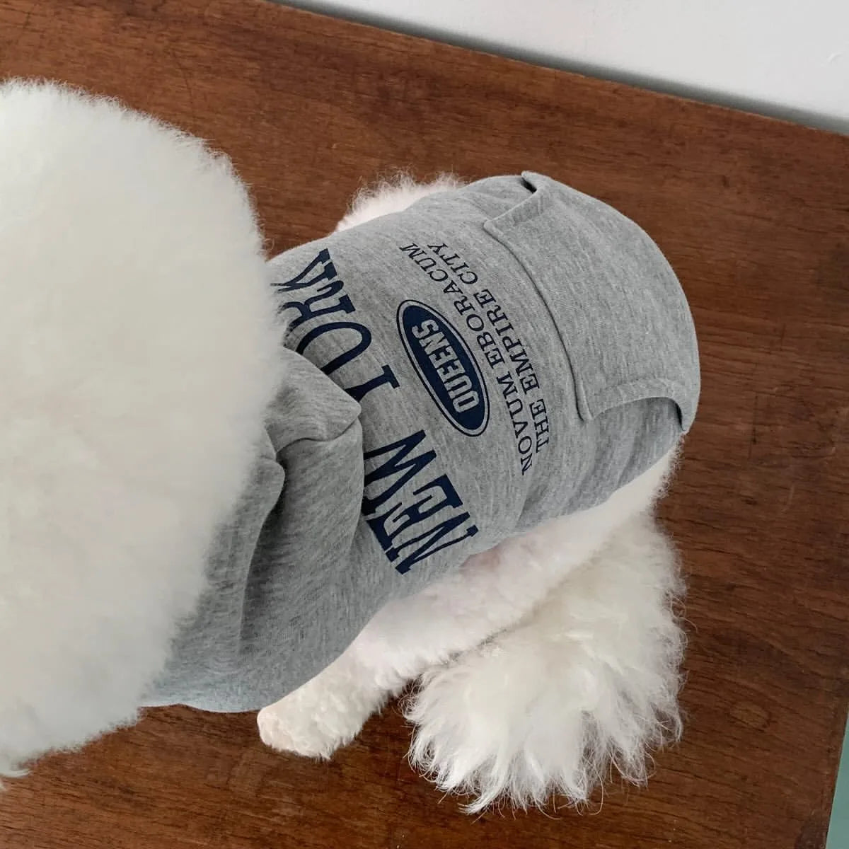 CozyLetter Fleece Winter Hoodie