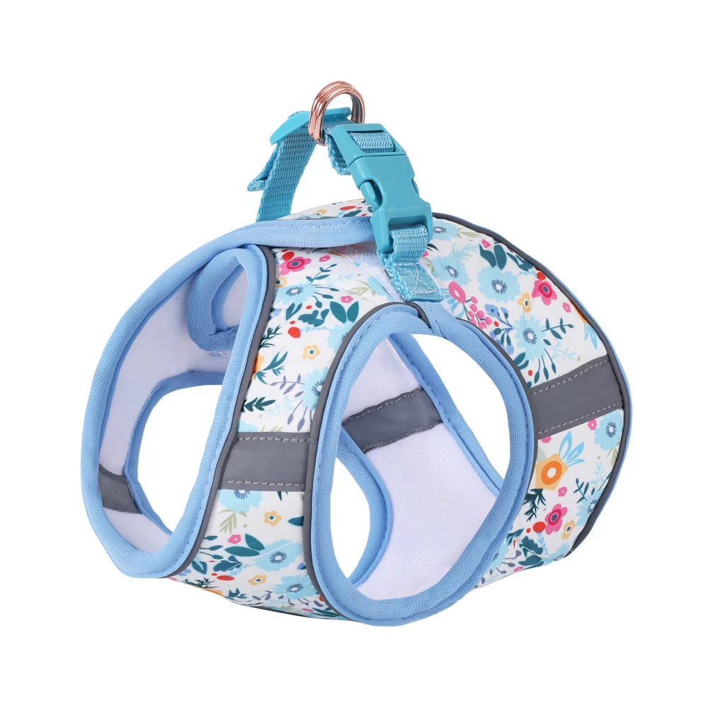 Signature Pet Harness & Leash Set - Modern Utility