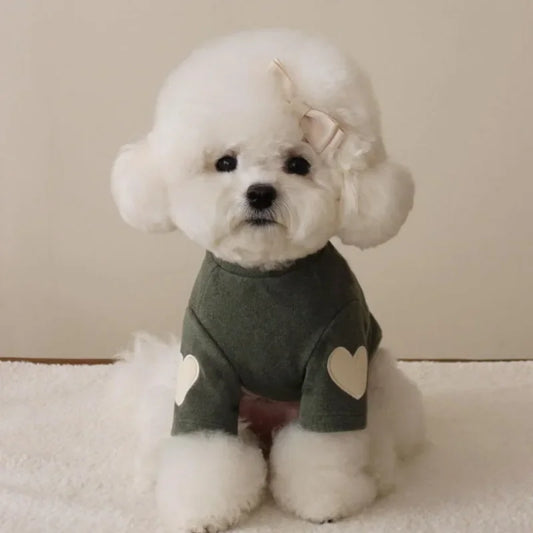 TeddyBear Warm Fleece Dog Hoodie