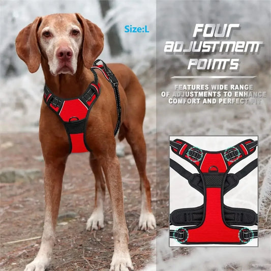 Classic Leather Luxury Harness Set