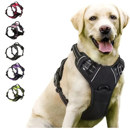 Classic Leather Luxury Harness Set