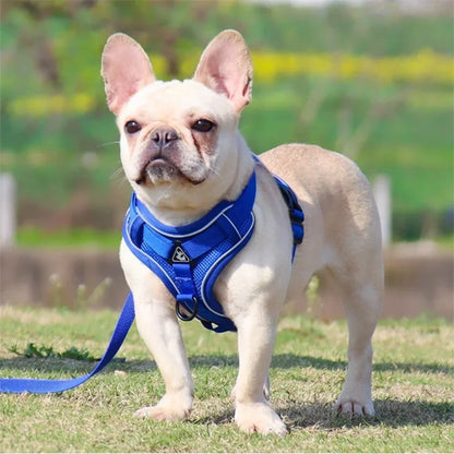 ProFit Adjustable No-Pull Harness