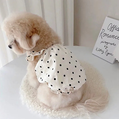 Premium Lace Pet Dress - Elegant Summer Wear