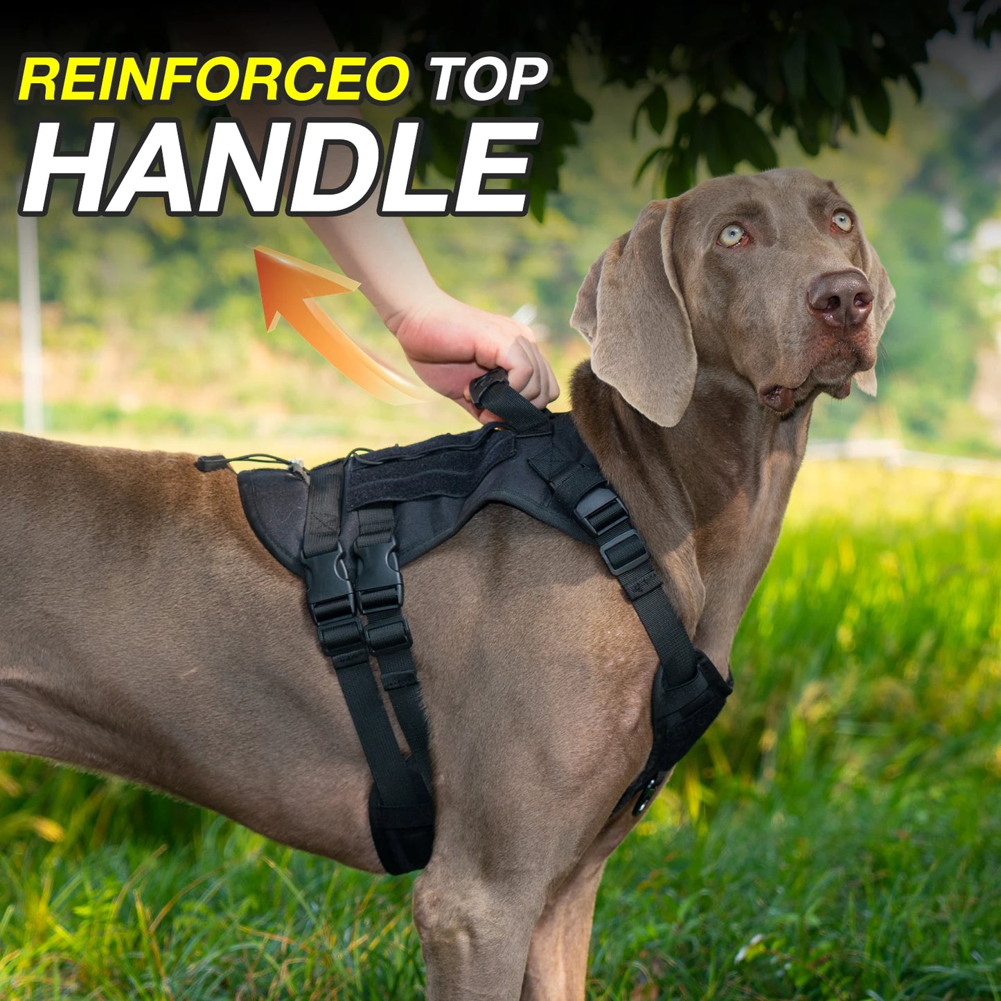 Pro-Tactical Pet Harness - Durable Outdoor Edition