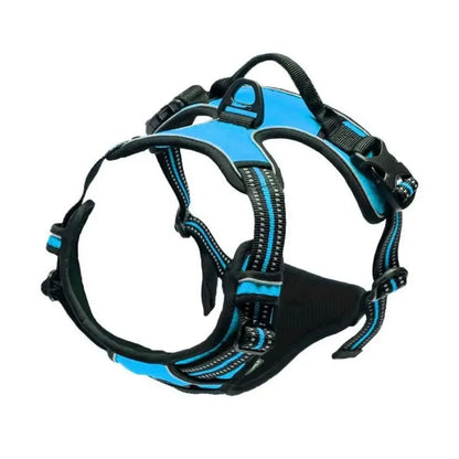 Classic Leather Luxury Harness Set