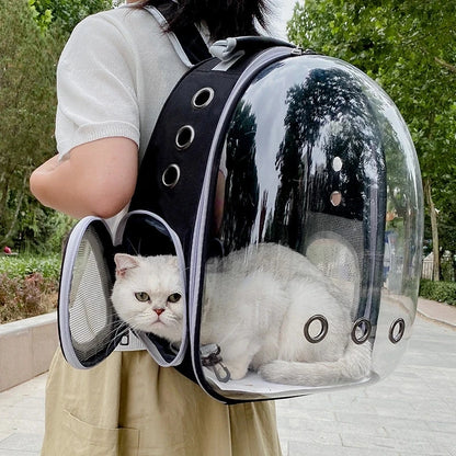 Modern Astronaut-Style Pet Backpack - Transparent View