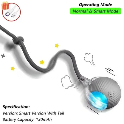 SmartRoll Auto-Rolling Interactive Ball