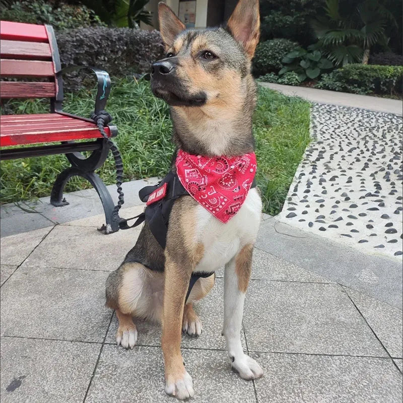 BohoVibe Triangular Pet Scarf