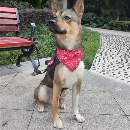BohoVibe Triangular Pet Scarf