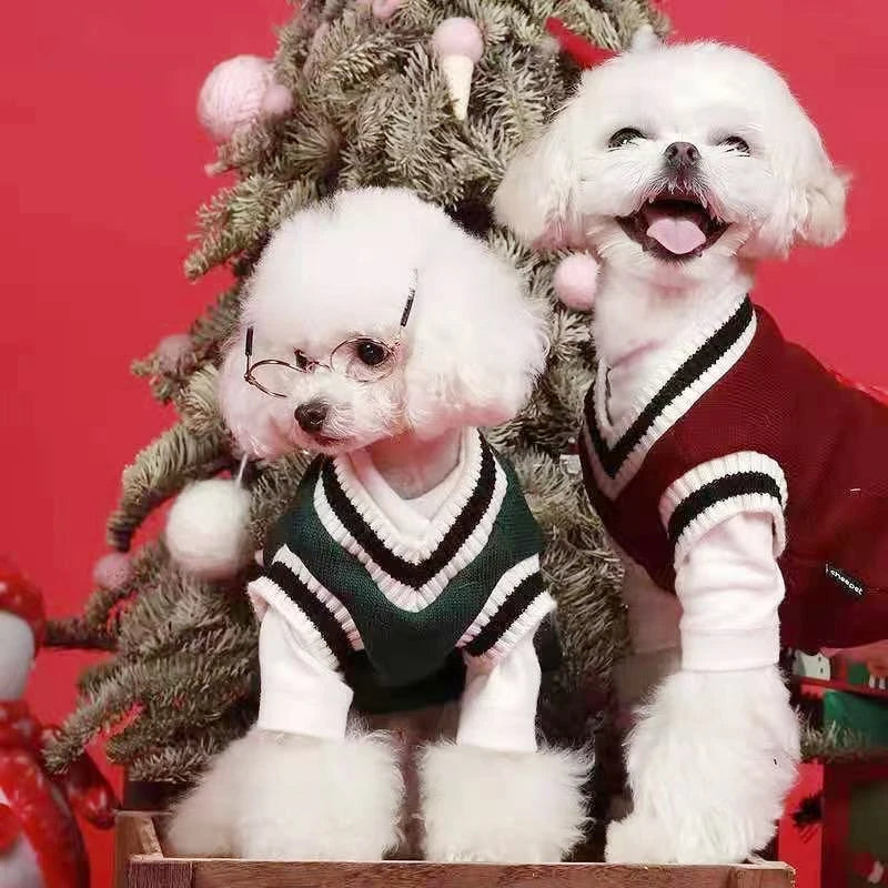 VarsityVibe Knit Dog Sweater