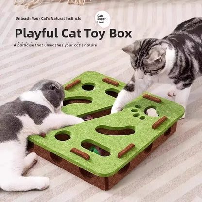 MazeClaw Interactive Cat Digging Toy