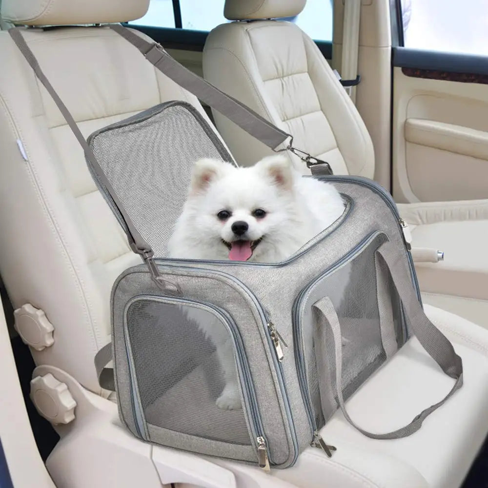 Airline-Approved Pet Carrier - Sleek & Soft-Sided