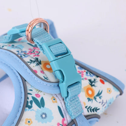 Signature Pet Harness & Leash Set - Modern Utility