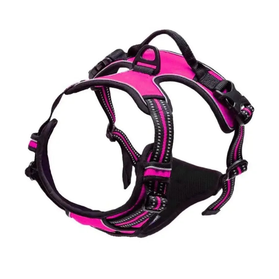 Classic Leather Luxury Harness Set