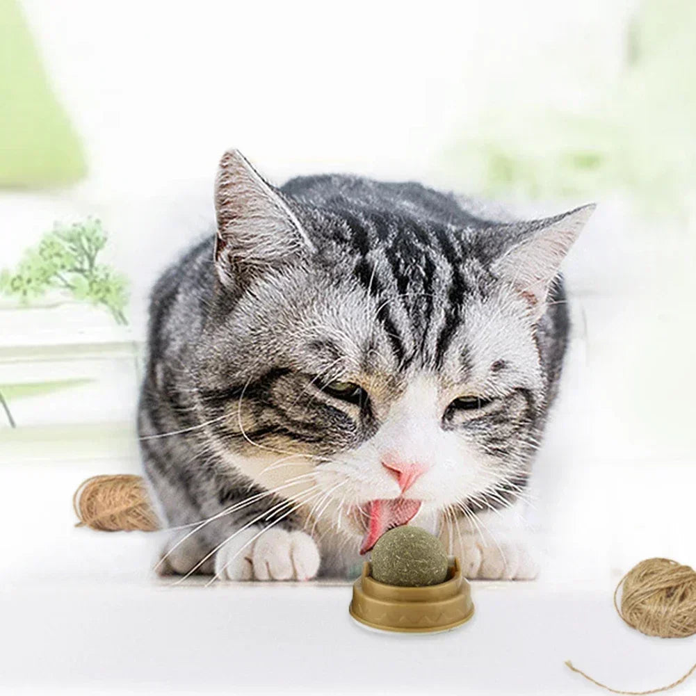 MintFresh Edible Catnip Licking Balls