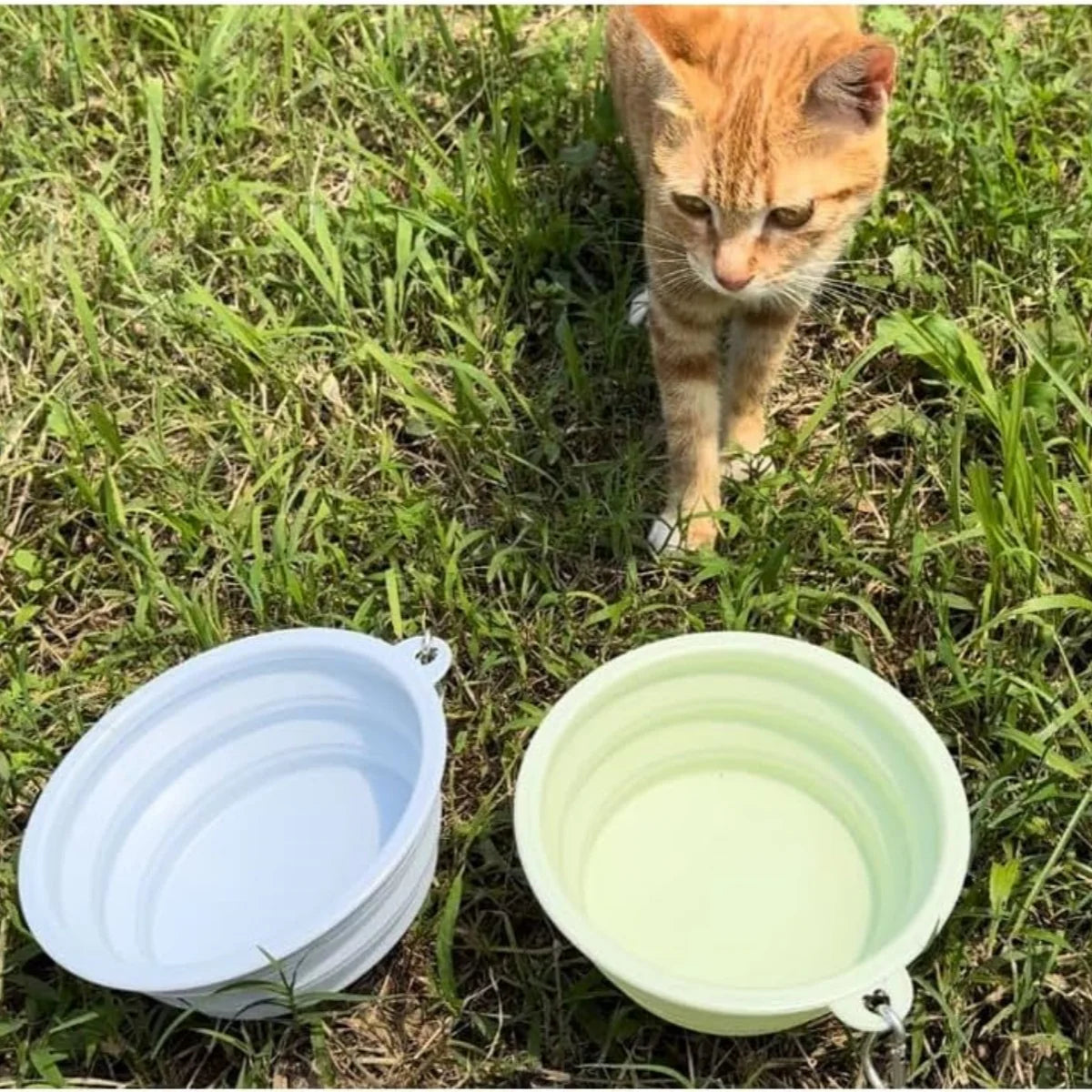 GoPack 2-Piece Collapsible Bowls