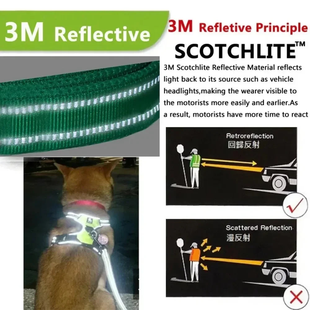 Reflective Minimalist Pet Harness - Secure & Sleek