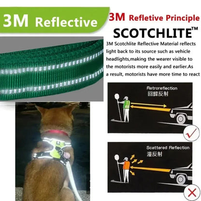 Reflective Minimalist Pet Harness - Secure & Sleek