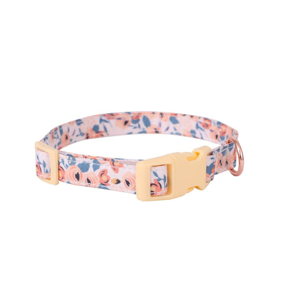 Signature Pet Harness & Leash Set - Modern Utility