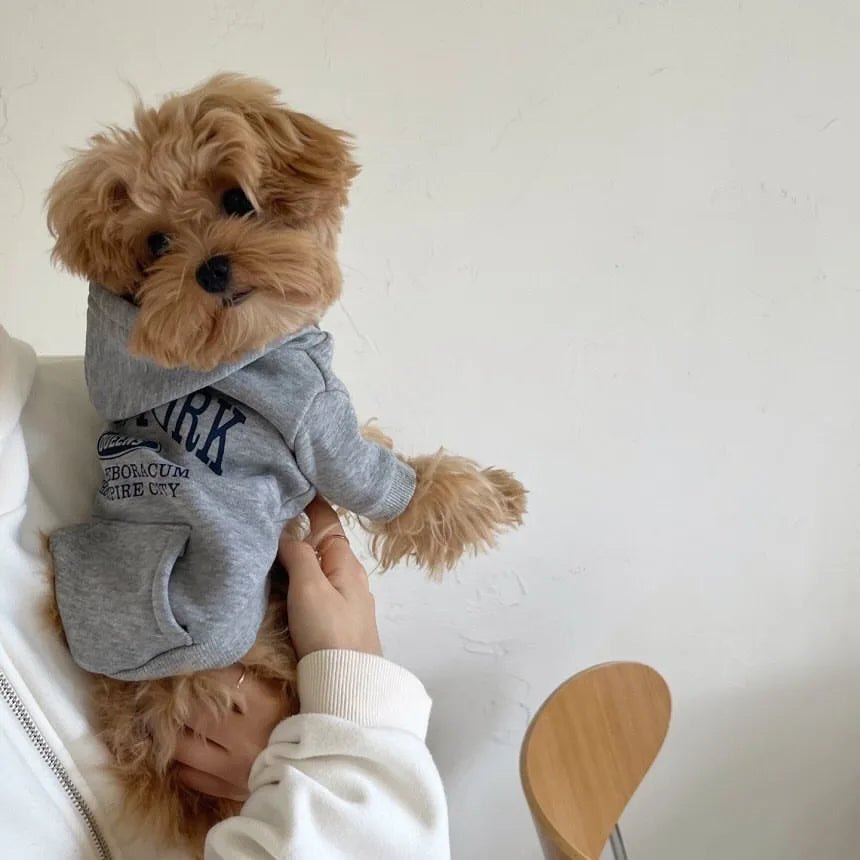 CozyLetter Fleece Winter Hoodie