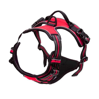 Classic Leather Luxury Harness Set