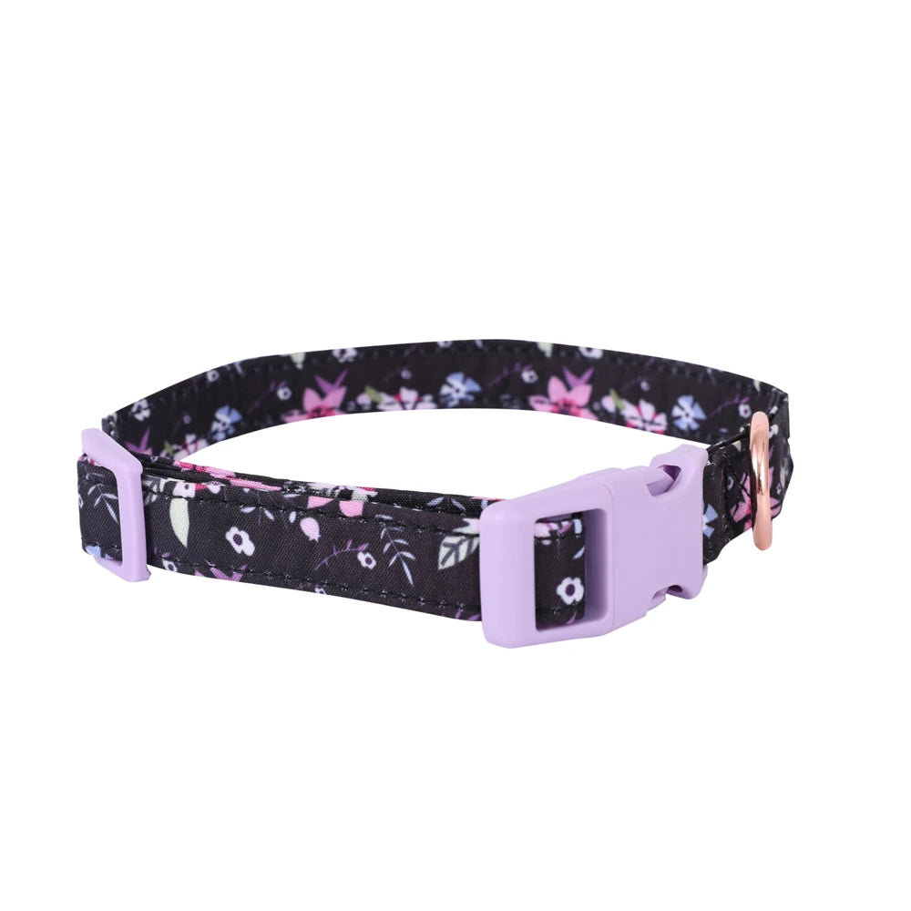 Signature Pet Harness & Leash Set - Modern Utility