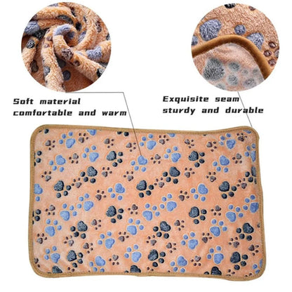 FleecyPaws Cartoon Soft Pet Mat