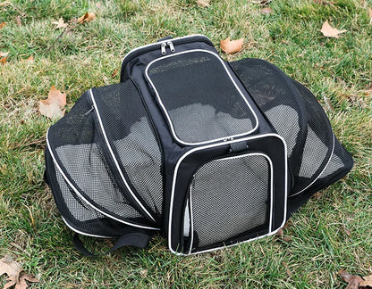 Essential Foldable Pet Carrier - Expandable & Breathable