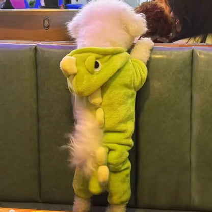 Playful Dinosaur Pet Costume - Soft Flannel