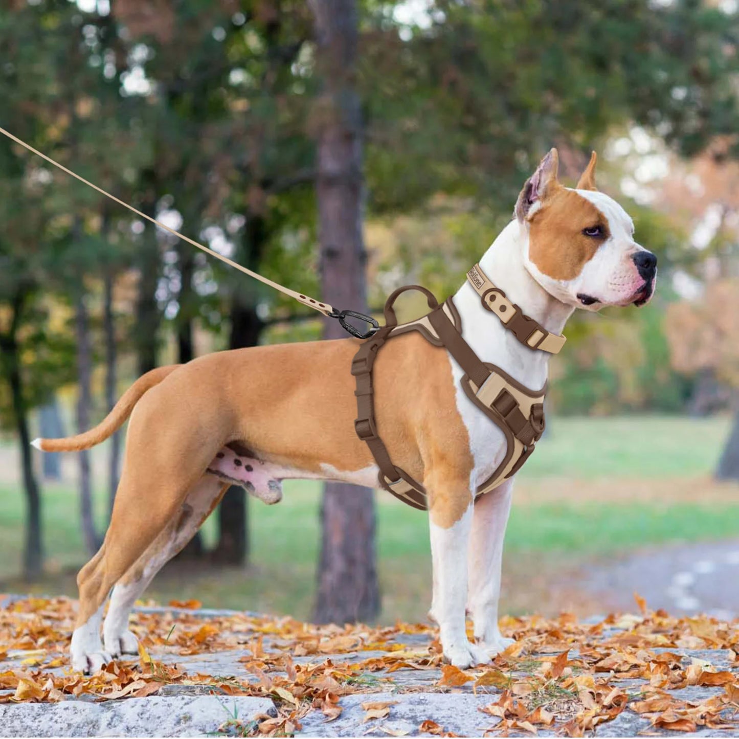 Chocolate Velvet Comfort Pet Harness - No-Pull Design