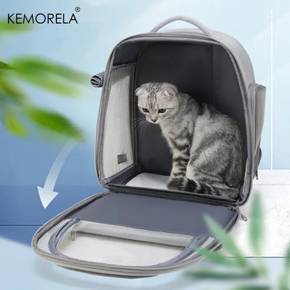 Luxury Transparent Pet Capsule - Outdoor Breathable Gear