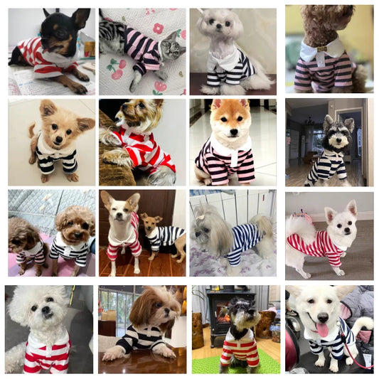 Classic Nautical Striped Dog Polo