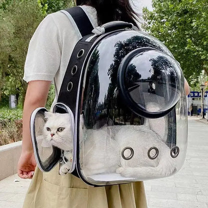 Modern Astronaut-Style Pet Backpack - Transparent View