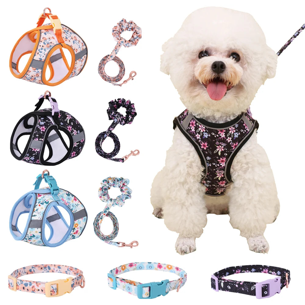 Signature Pet Harness & Leash Set - Modern Utility