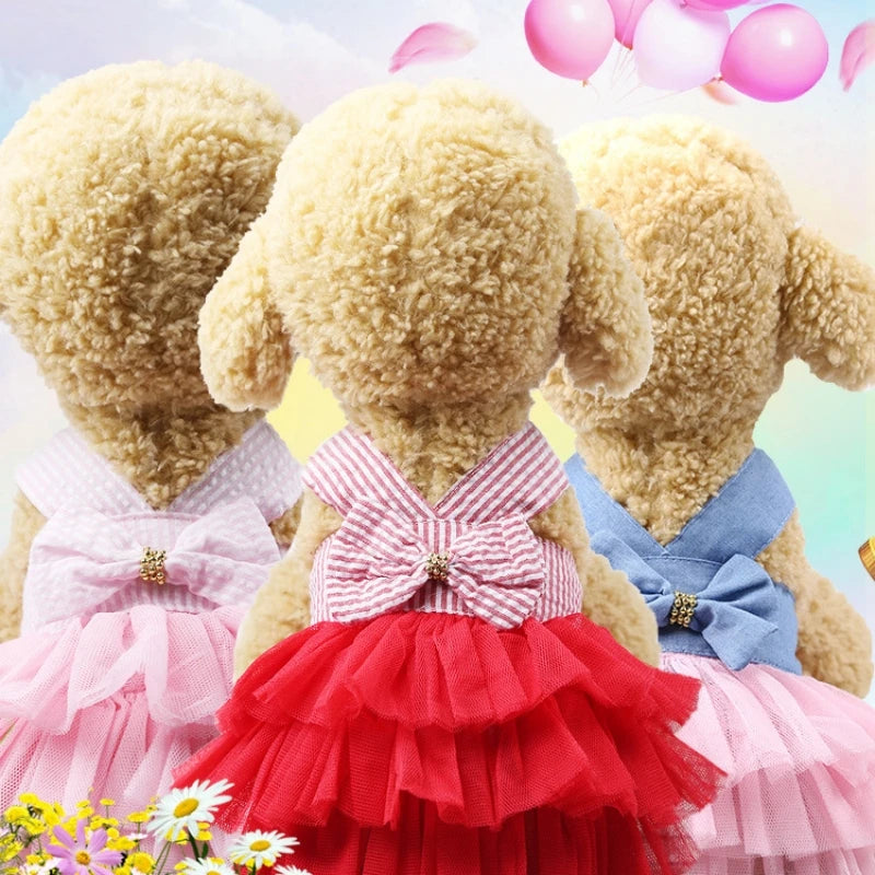Elegant Princess Pet Summer Dress - Lace Detail