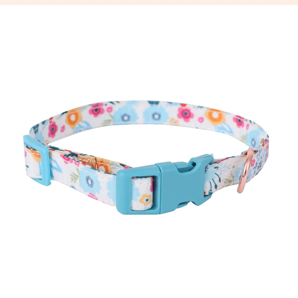 Signature Pet Harness & Leash Set - Modern Utility