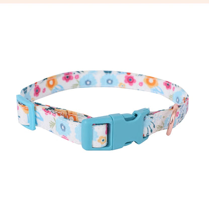 Signature Pet Harness & Leash Set - Modern Utility