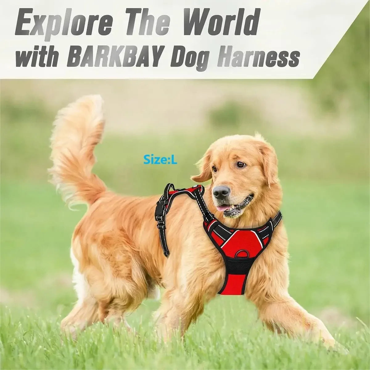 Classic Leather Luxury Harness Set
