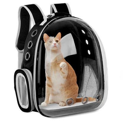 Modern Astronaut-Style Pet Backpack - Transparent View