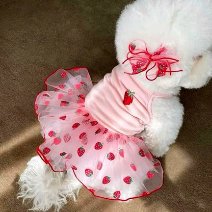Premium Lace Pet Dress - Elegant Summer Wear