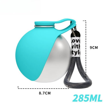 HydroSteel Stainless Travel Bottle