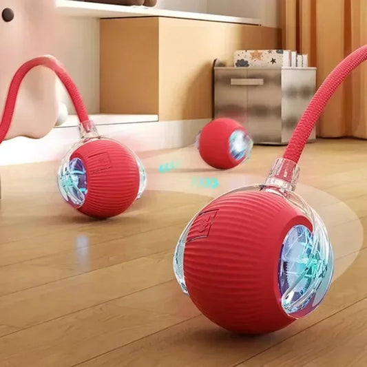 SmartRoll Auto-Rolling Interactive Ball