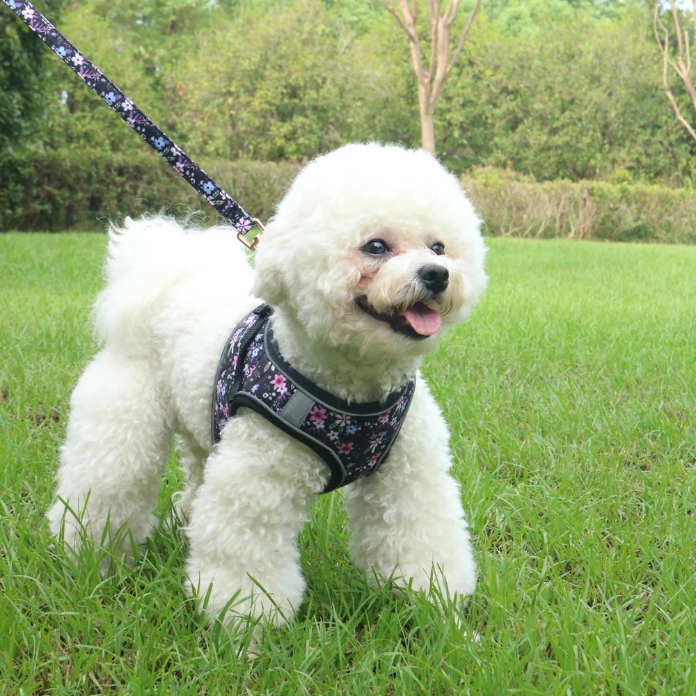 Signature Pet Harness & Leash Set - Modern Utility
