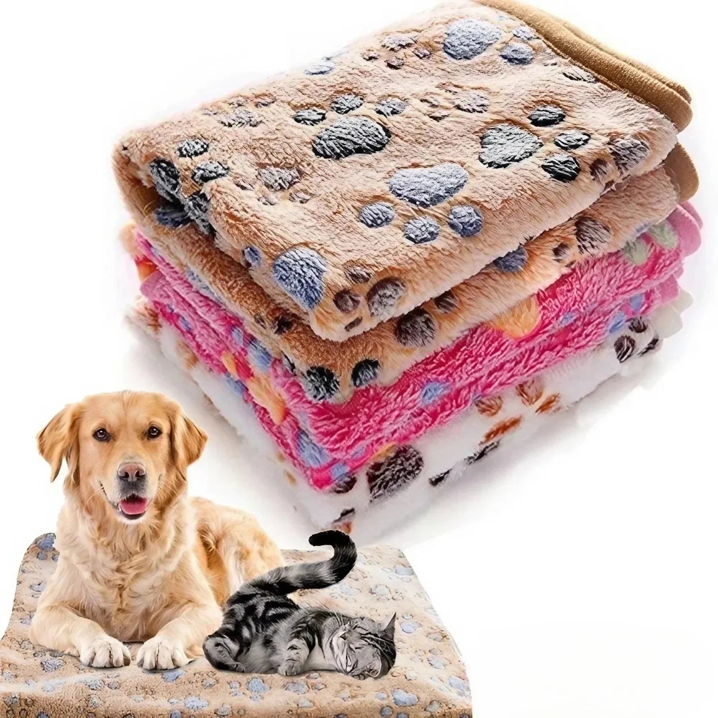 FleecyPaws Cartoon Soft Pet Mat