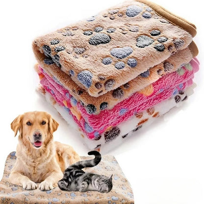 FleecyPaws Cartoon Soft Pet Mat