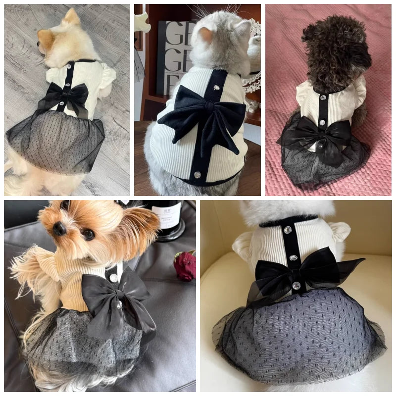 Premium Lace Pet Dress - Elegant Summer Wear