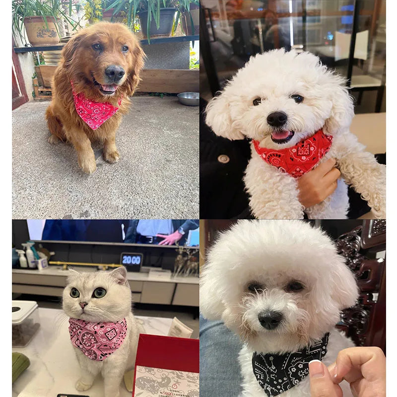 BohoVibe Triangular Pet Scarf